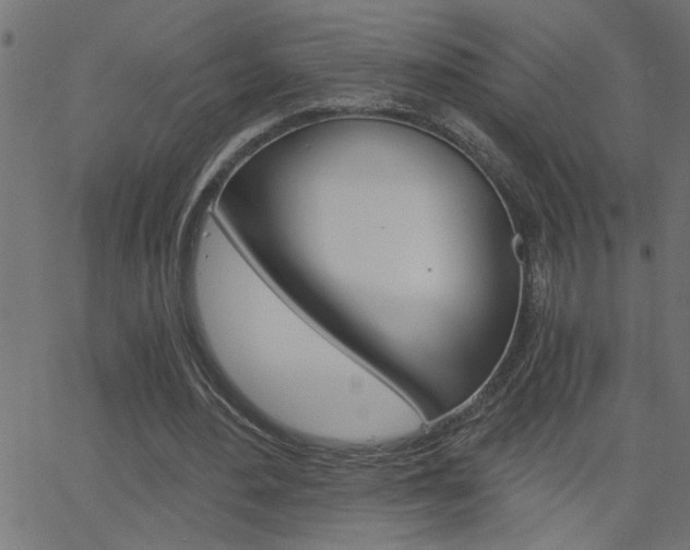 X0000068760484200604280956
