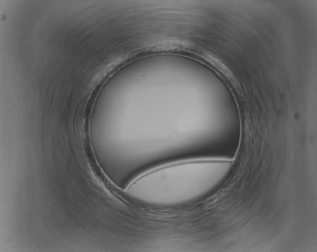 X0000068760485200604280956