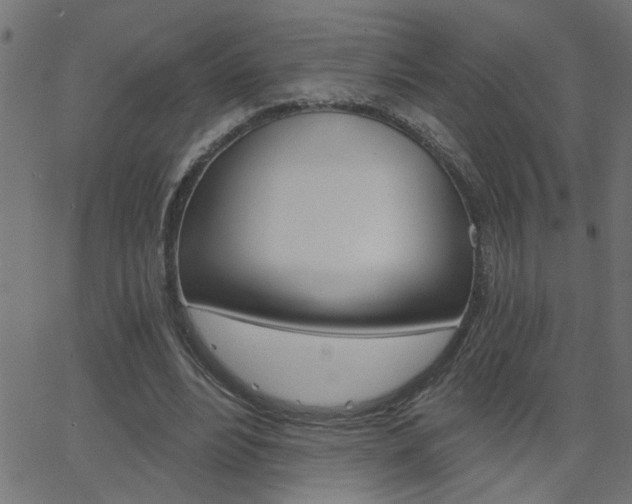 X0000068760488200604280956