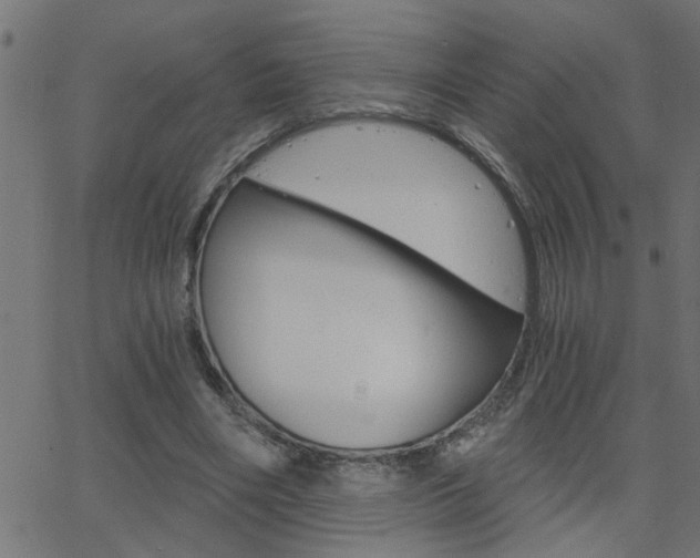 X0000068760490200604280956