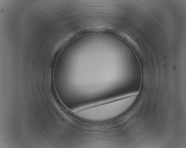 X0000068760493200604280956