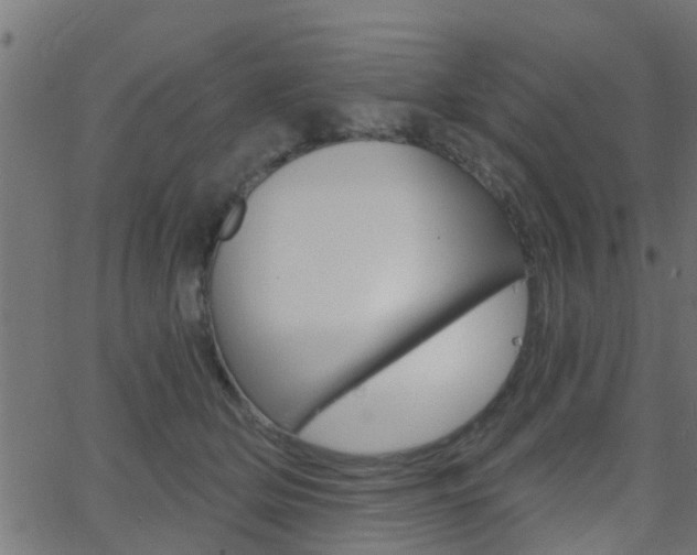 X0000068760514200604280955