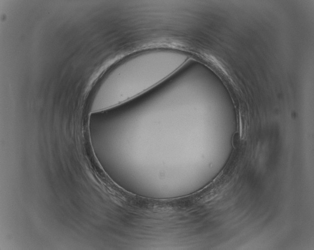 X0000068760531200604280954