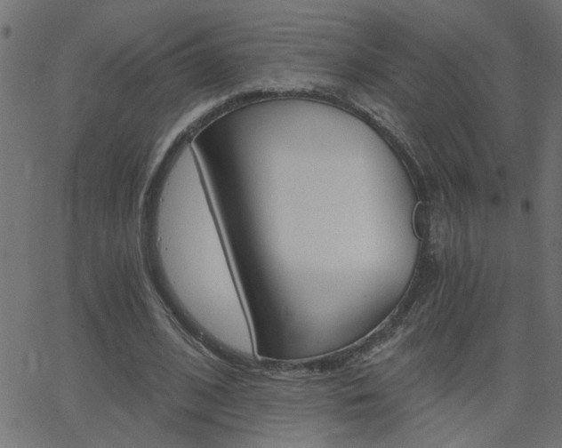 X0000068760584200604280954