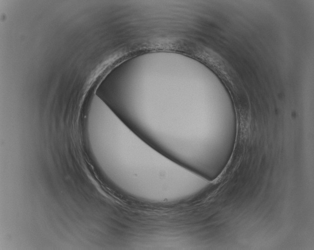 X0000068760674200604280953