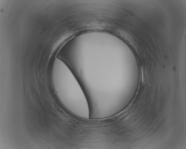 X0000068760675200604280953
