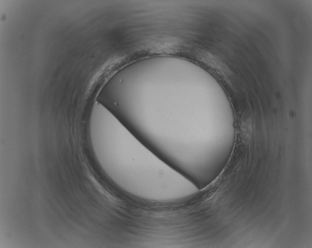 X0000068760686200604280952