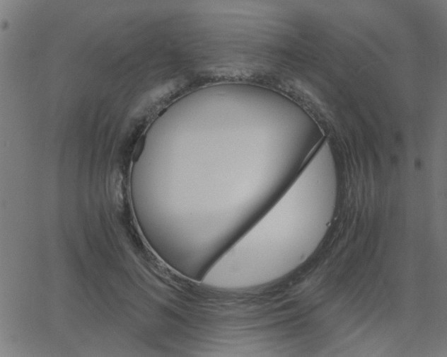X0000068760692200604280952