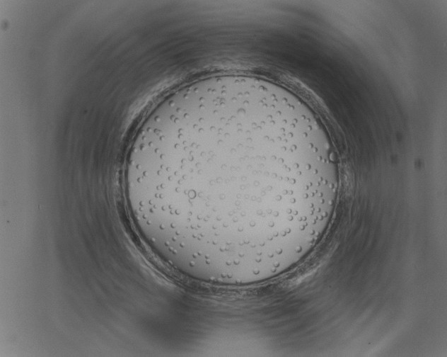 X0000068760725200604280951