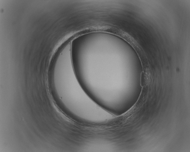 X0000068760726200604280951