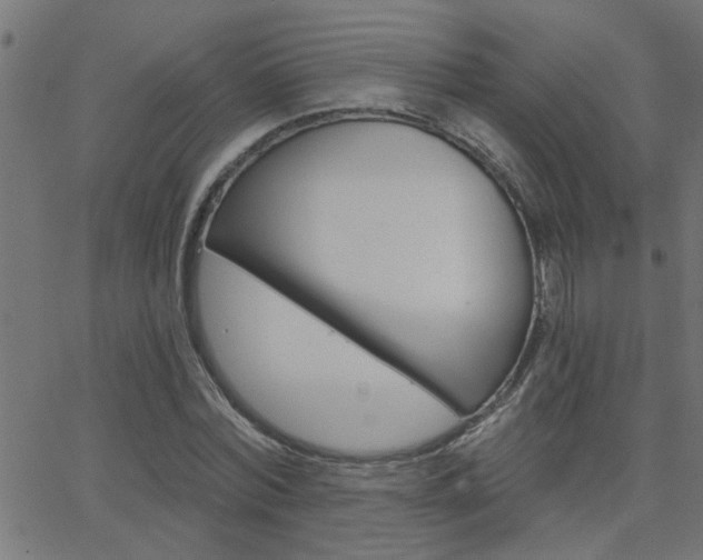 X0000068760780200604280951