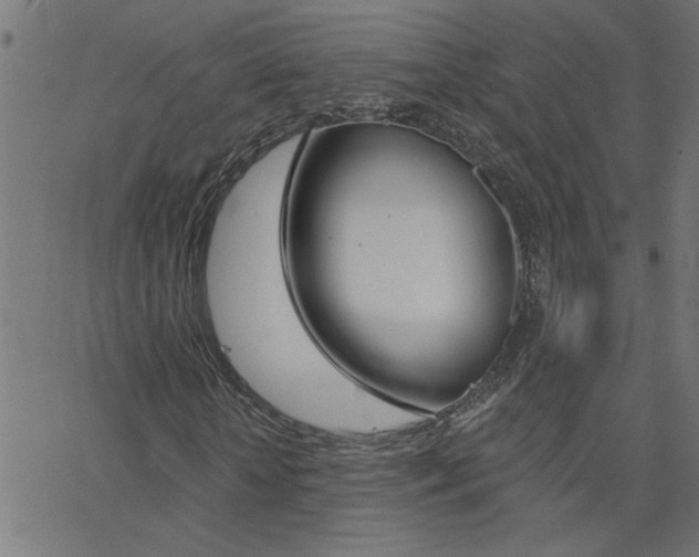 X0000068760818200604280950
