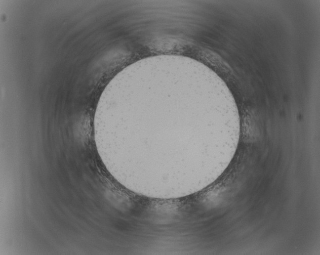 X0000068760820200604280950
