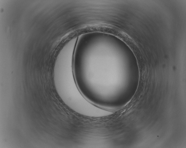 X0000068760822200604280950