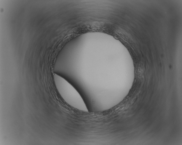 X0000068760865200604280950