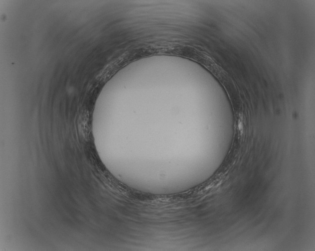 X0000068760867200604280949