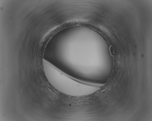 X0000068760872200604280949