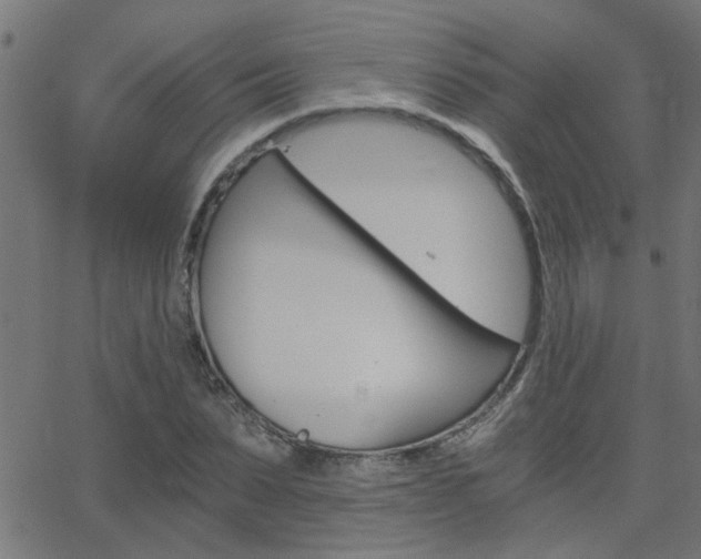 X0000068760879200604280949