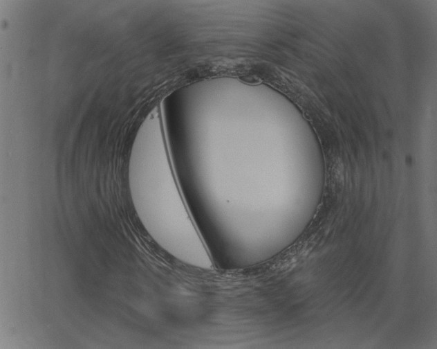 X0000068760914200604280948