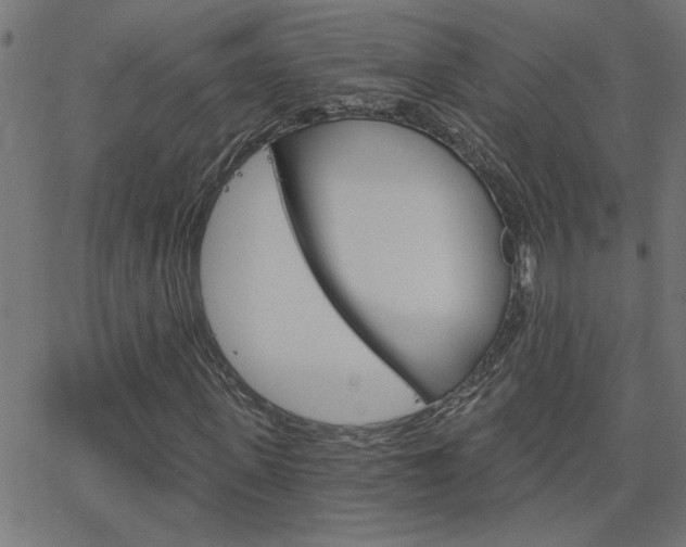 X0000068760915200604280948