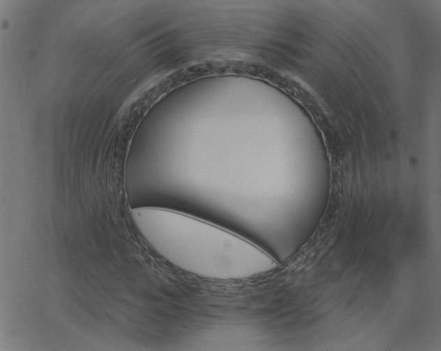 X0000068760919200604280948