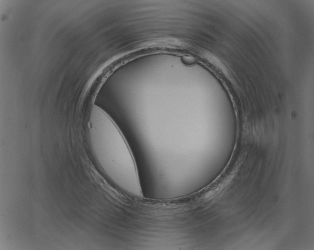 X0000068760923200604280948