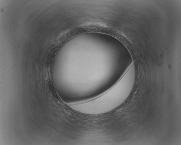 X0000068760965200604280948