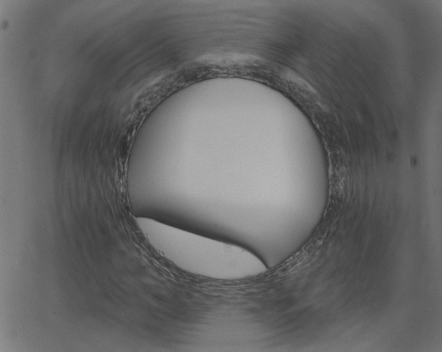 X0000068760966200604280948