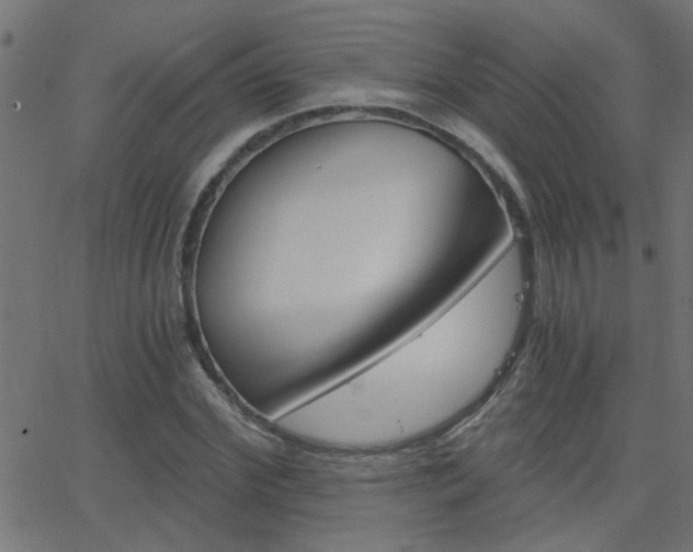 X0000068760972200604280948