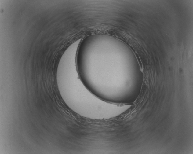 X0000068761010200604280946
