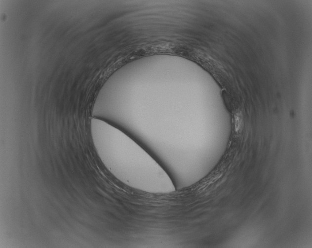 X0000068761011200604280946