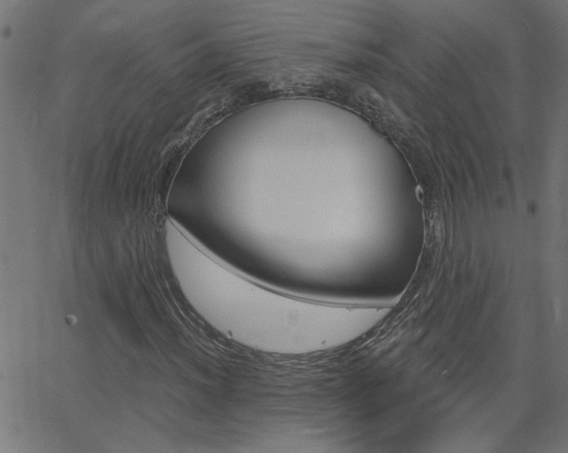 X0000068761012200604280946