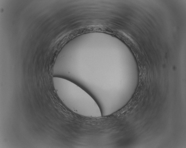 X0000068761015200604280946