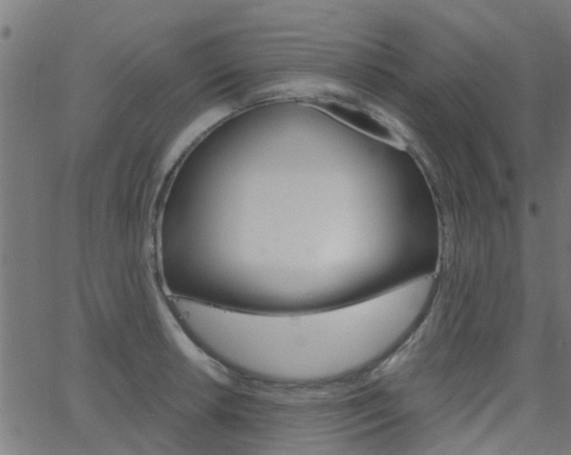 X0000068761042200604280947