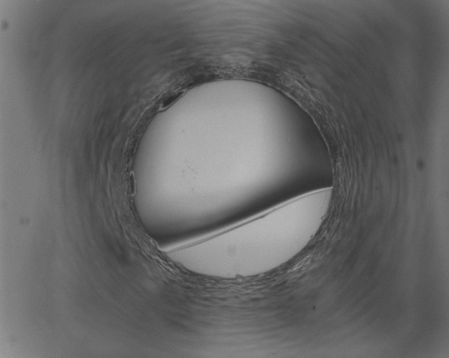 X0000068761057200604280946