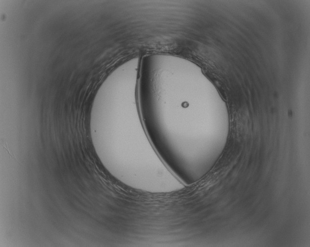X0000068761058200604280946
