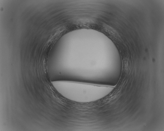 X0000068761060200604280946