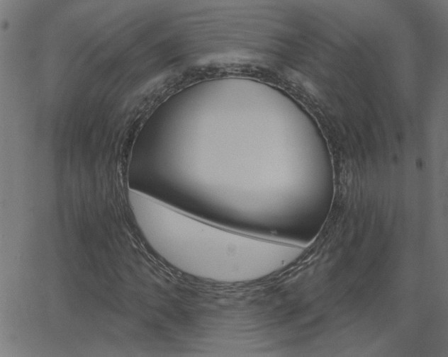 X0000068761062200604280946