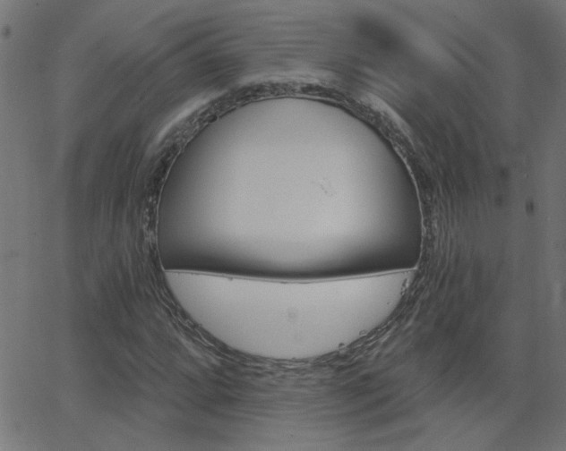 X0000068761064200604280946