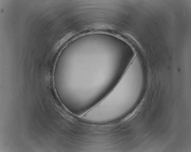 X0000068761065200604280946