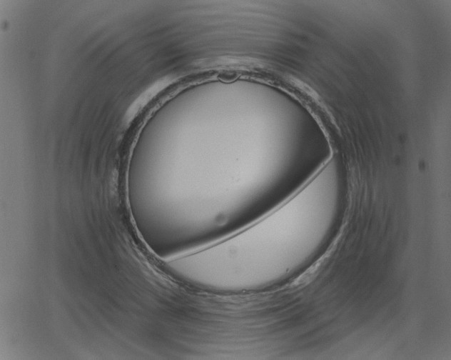 X0000068761066200604280946
