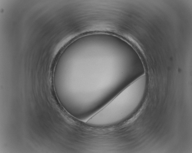 X0000068761077200604280946