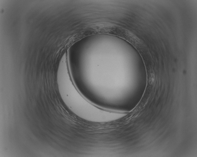 X0000068761108200604280945