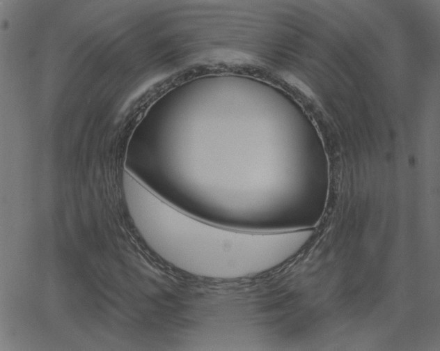 X0000068761112200604280945