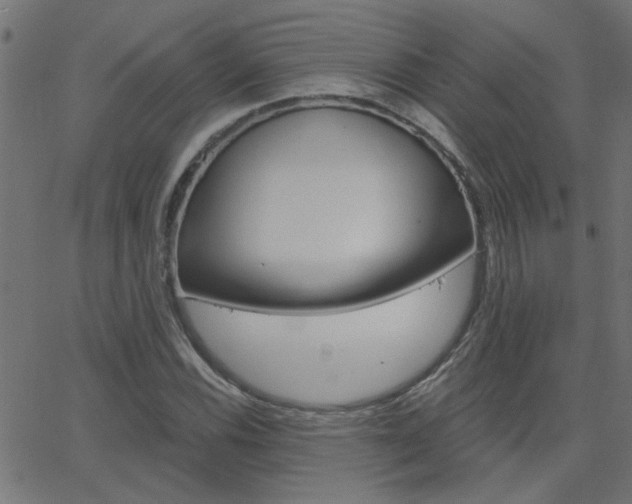X0000068761116200604280945