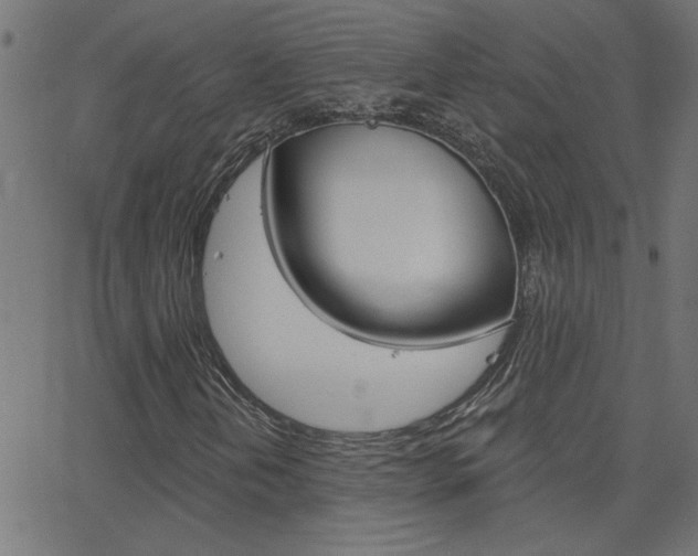 X0000068761202200604280943