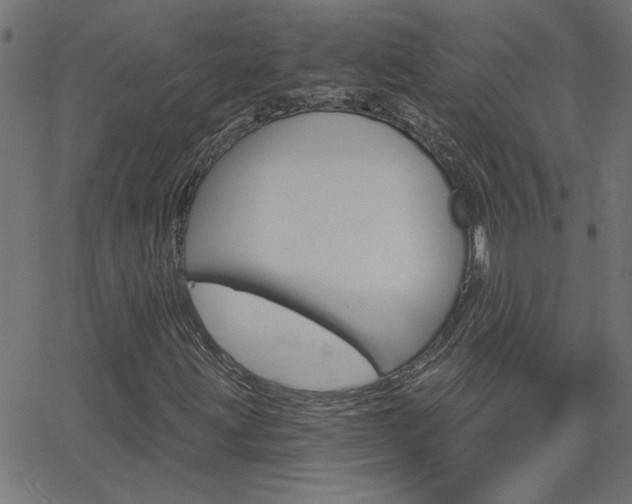X0000068761203200604280943