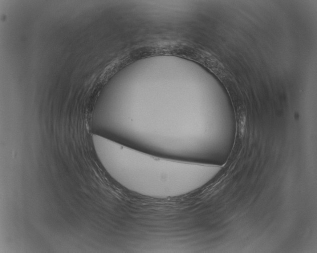 X0000068761204200604280943