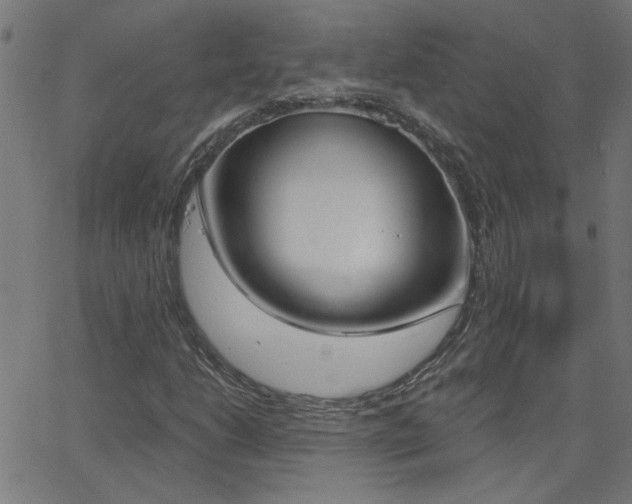 X0000068761206200604280943