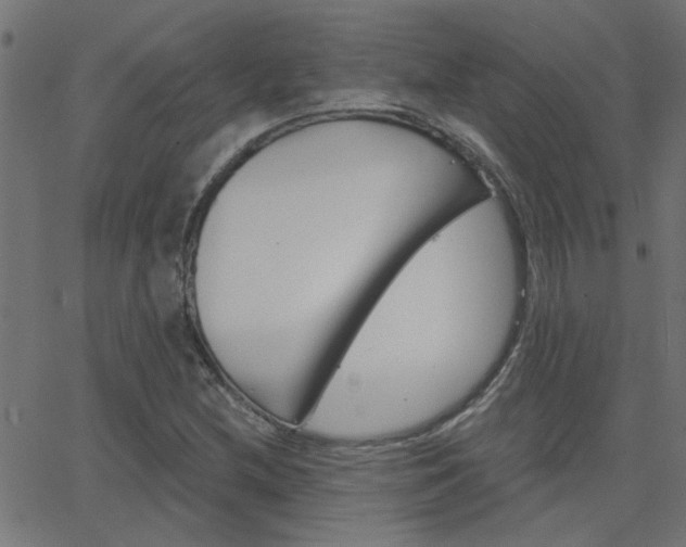 X0000068761212200604280943